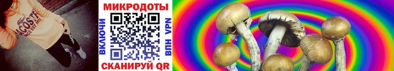 Псилоцибиновые грибы Magic Shrooms  закладки  Куйбышев 